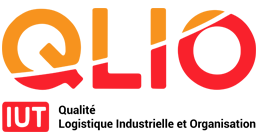 Logo_QLIO